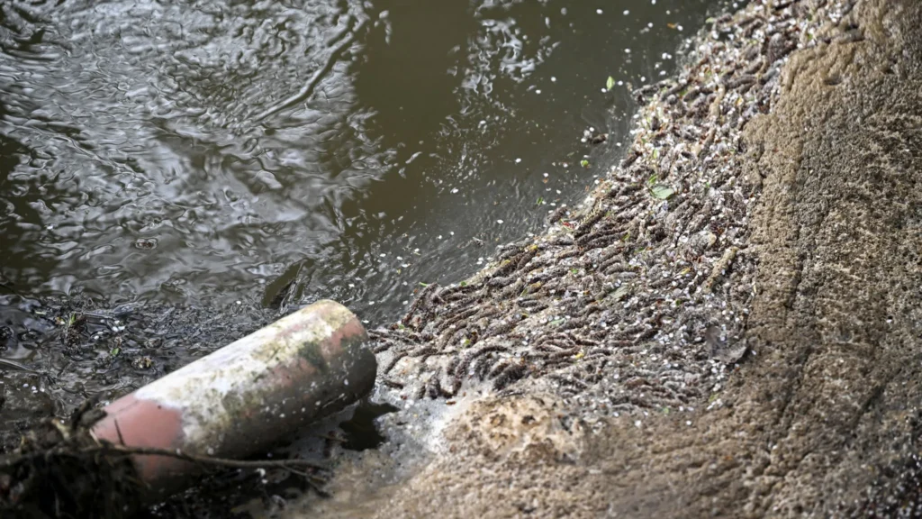 Thames Water Scandal