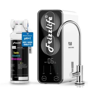 Frizzlife PD600 RO System